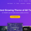 Astra WordPress Theme - Image 3